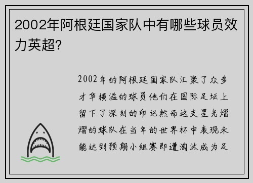 2002年阿根廷国家队中有哪些球员效力英超？